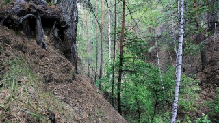 � ������� ���� ������ ��������� � ������ �� ����� �����