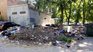 В Саратове больше месяца не могут вывезти мусор после субботника