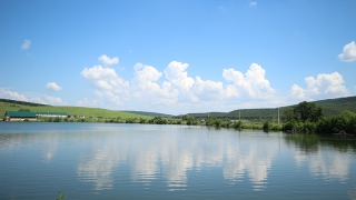 Росрыболовство начало расследование из-за обмеления Волги Росрыболовство начало расследование из-за обмеления Волги