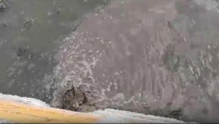 �� ���������� ����������� ����������� ����� ��������� � �����. �����