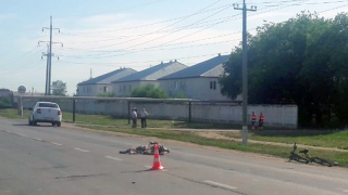 В Марксе автоледи на «Гранте» насмерть сбила велосипедистку В Марксе автоледи на «Гранте» насмерть сбила велосипедистку