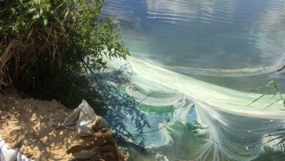 ����������� ������������ �������� ��-�� ����������� ����� ��� ���������