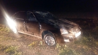 � ����������� ������ ������������� �������. ���������� ����