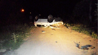 � ������� ���� ��������� ����������� �� �����