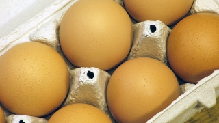 ��������� ��� ���������� �� ���� �� ���������� � ����������� �������