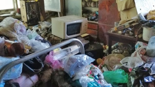 ��������� �������� � ��������� � ������������ ��-�� ������������� � ���������