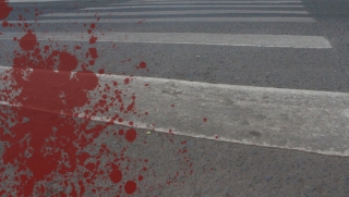 � �������� ���������� ������ ����� ��������