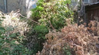 ���� ���� �� ������� ������ ������ ������� ���������� ���������