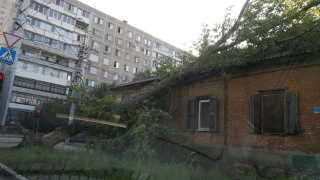 На Рабочей упавшее дерево приземлилось на жилой дом