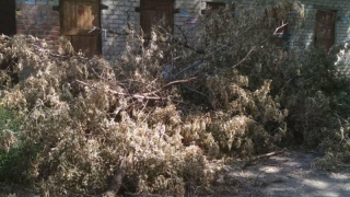 ��������� ��������� ���������� ���� �� ��������� �������� ����� ���������� ���