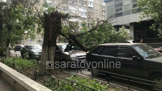 В Волжском районе на припаркованные машины упали кирпичи и дерево