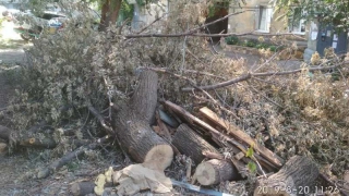 ��������� ������������ ������ �������� ������� � �� �������� �� ������� ����