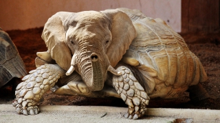 В России предложили создать единую базу для жалоб на фейки и оскорбление госсимволов В России предложили создать единую базу для жалоб на фейки и оскорбление госсимволов