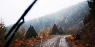 Саратовский Гидрометцентр рассказал о скором снеге с дождем и похолодании до -2
