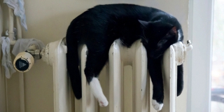 � �������� � �������������� ���������� 32,8% ��������������� �����