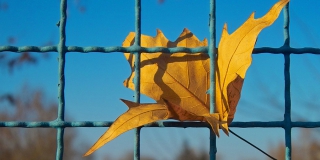 Двое наркоманов изнасиловали девушку и отправили ее в магазин за алкоголем Двое наркоманов изнасиловали девушку и отправили ее в магазин за алкоголем