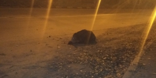 � �������� ����� ���������� ������� ������� ������