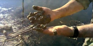 В Балашовском районе жители обнаружили «нефтяное» загрязнение в Хопре