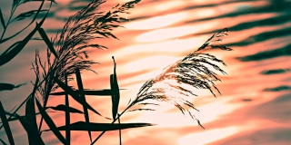 ��������� �������� ���� ������� �� ������������ �����