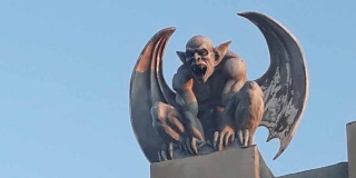 � �������� ������ ���� ��������