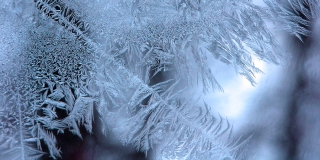 Ночью в Саратовскую область резко придут морозы со снегом и гололедом