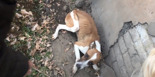 � ������� �������� ������ ���������� ������� ����� � ������������ ��������