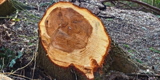 ������� �������� �� ���� ����� � �������� �����������