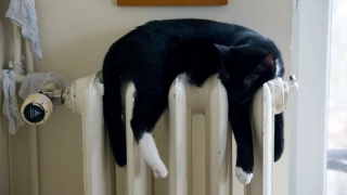 � �������� ��� ����� �������� ����� ��� ������� ����