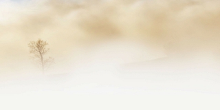 Саратовских водителей и пешеходов предупредили об осторожности в туман Саратовских водителей и пешеходов предупредили об осторожности в туман