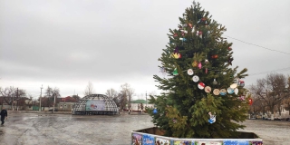 Главную елку в Хвалынске украсили картонками и бутылками Главную елку в Хвалынске украсили картонками и бутылками