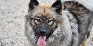 ����������� ���������� �������� ������� � ���������� ������� ������� �� �����