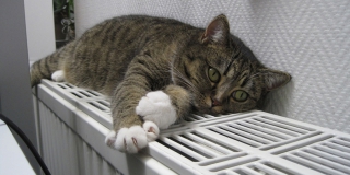 ������ ������ �������� �������� ��������� ���� 2019 ���� ��� ���������