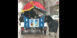 ������� �� ������� ���������� � ������������ ���� ���� ������ �������