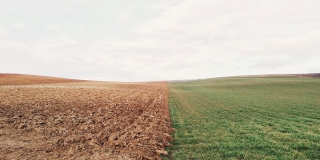 �����������: �������� ��������� ������� ��� ������ 520 �� �����