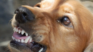 ����������� ����� �������� �������������� ������ ������������ �� ������ ��������� �����