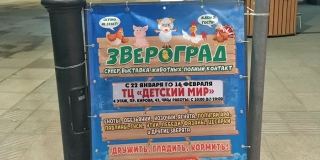 Зоопарку в «Детском мире» выдали предостережение из-за контакта с животными Зоопарку в «Детском мире» выдали предостережение из-за контакта с животными