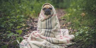 � ����������� ������� ����� �������� ����� ����������� �� ������ 