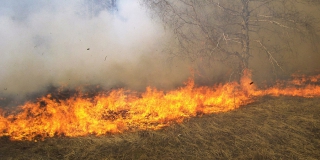 Саратовская область попала в зону риска раннего пожароопасного сезона