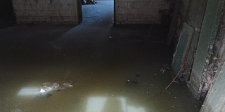 Жители пятиэтажки возмущены водой в подвале и кучами мусора во дворе: «Полная антисанитария»