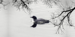 ����� �� �������� � ������� �������� �� ������ ������