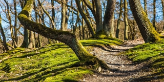 ����������� ����� ��� ������� �� ����� 100 �������� ����� � �������� ������