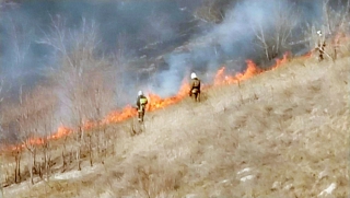 � ����������� ������ ���������� ����� �������� ������