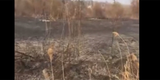 ����� ��������� ��������� ��� � 2 ������� ����� �� �������