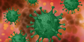 � ������ �� ����� ����������� ����� 2500 ������� ������������