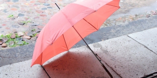 В Саратове прогнозируют усиление ветра и дождь