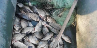 В Дергачевском районе задержали браконьера с 90-метровым орудием
