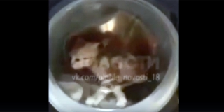 ����������� ������� �������� ���� � �������. ��������������� �������� ��������