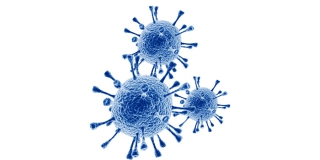 В минздраве и Роспотребнадзоре назвали бессмысленной «коронавирусную карту» Балакова В минздраве и Роспотребнадзоре назвали бессмысленной «коронавирусную карту» Балакова