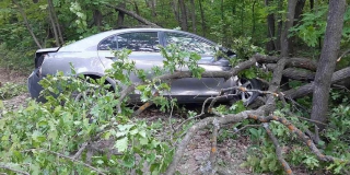 �� �������� ������ ������� �������� ������ �������� � ������. ���� � ��������