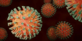 Федеральный штаб изменил данные о зараженных за сутки в Саратовской области Федеральный штаб изменил данные о зараженных за сутки в Саратовской области